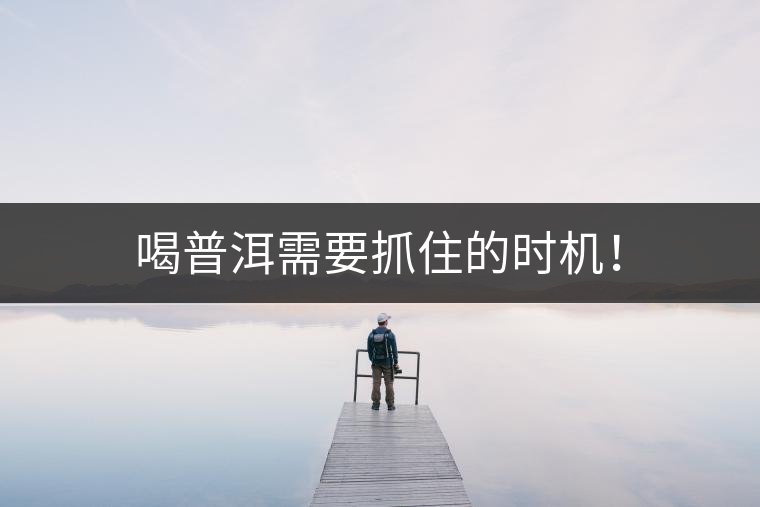 喝普洱需要抓住的時機！