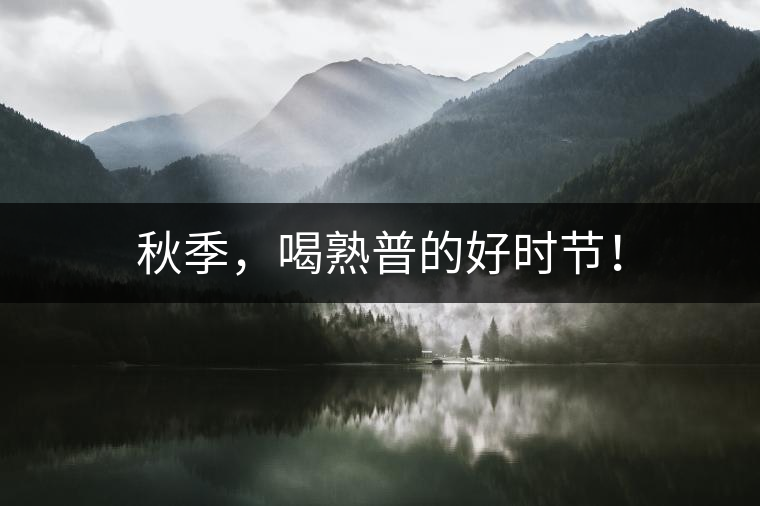 秋季，喝熟普的好時節(jié)！