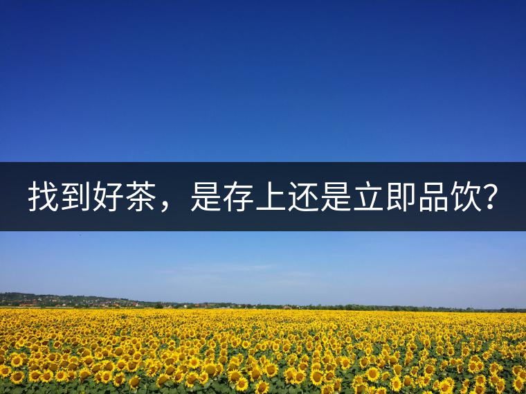 找到好茶，是存上還是立即品飲？