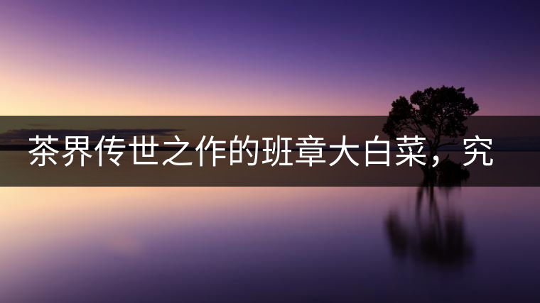 茶界傳世之作的班章大白菜，究竟有什么大來頭？