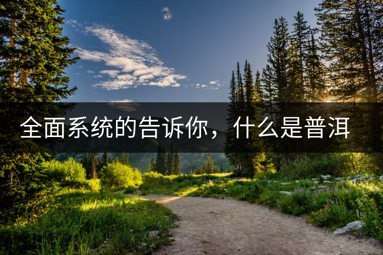 全面系統(tǒng)的告訴你，什么是普洱茶