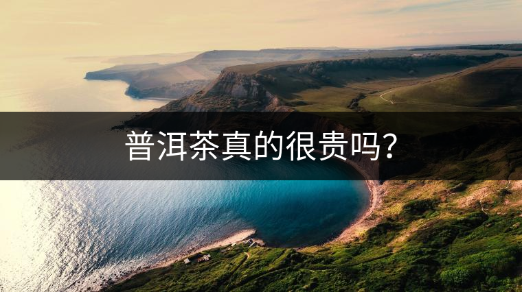 普洱茶真的很貴嗎？