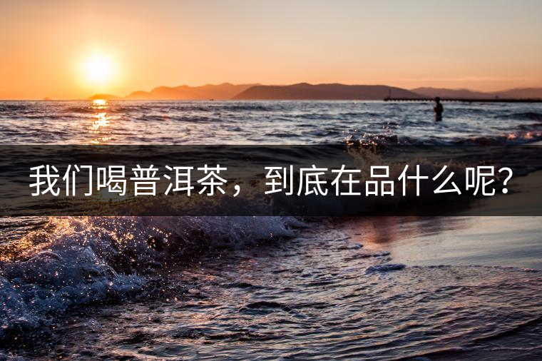 我們喝普洱茶，到底在品什么呢？