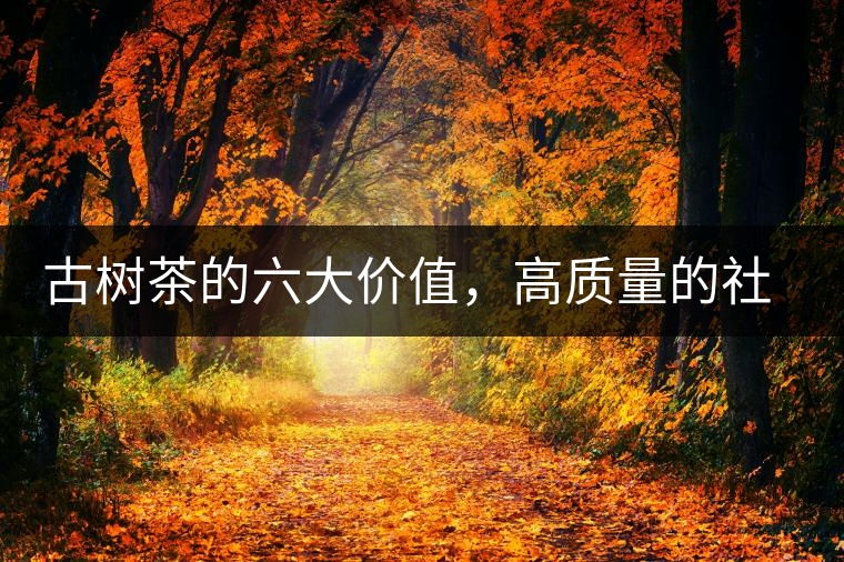 古樹(shù)茶的六大價(jià)值，高質(zhì)量的社交都離不開(kāi)古樹(shù)茶