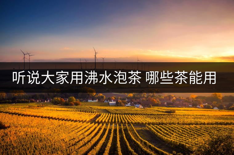聽(tīng)說(shuō)大家用沸水泡茶 哪些茶能用沸水泡