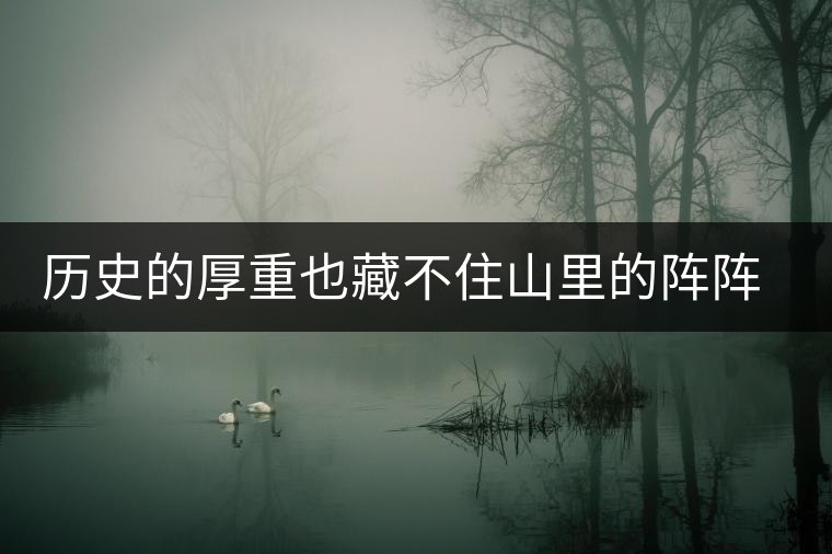 歷史的厚重也藏不住山里的陣陣茶香——攸樂古樹普洱 歷史的厚重也藏不住山里的陣陣茶香——攸樂古樹普洱