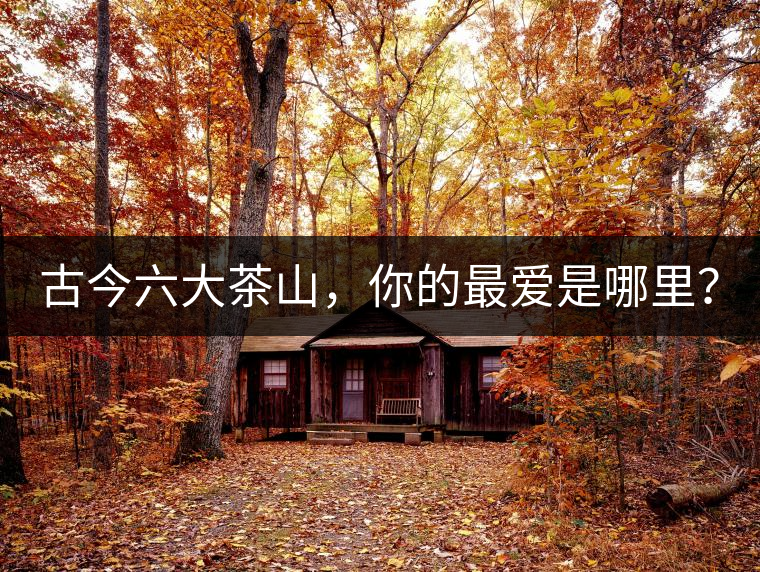 古今六大茶山，你的最愛是哪里？