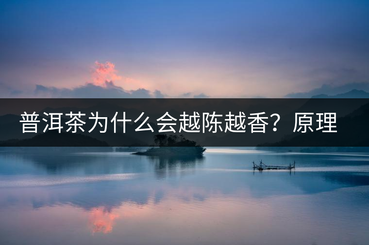 普洱茶為什么會越陳越香？原理是什么？