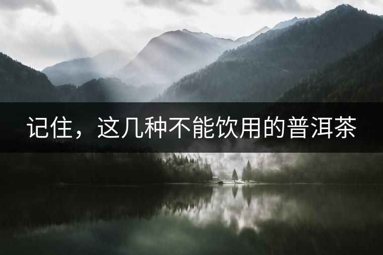 記住，這幾種不能飲用的普洱茶