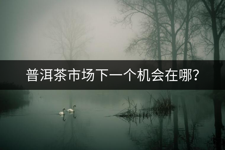 普洱茶市場下一個(gè)機(jī)會在哪? 普洱茶市場下一個(gè)機(jī)會在哪?