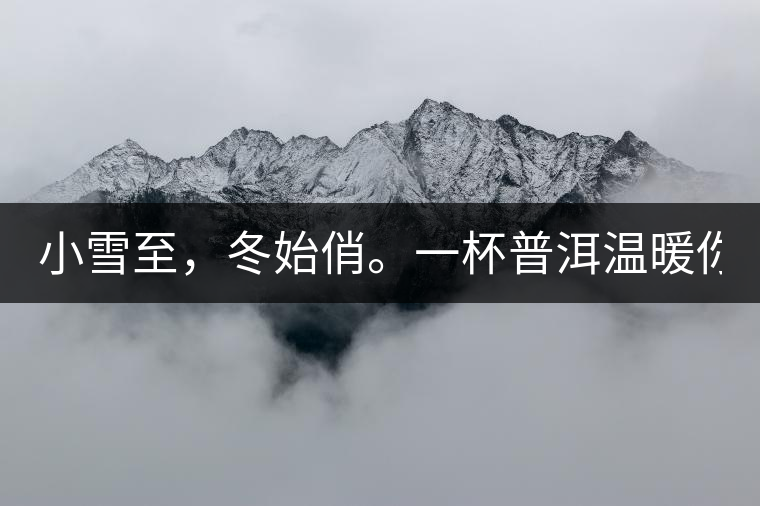 小雪至，冬始俏。一杯普洱溫暖你的冬天！