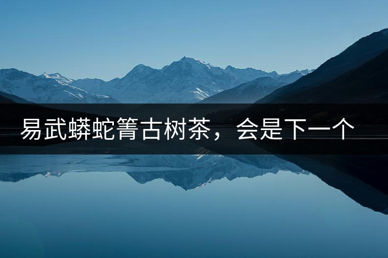 易武蟒蛇箐古樹茶，會是下一個銅箐河嗎？