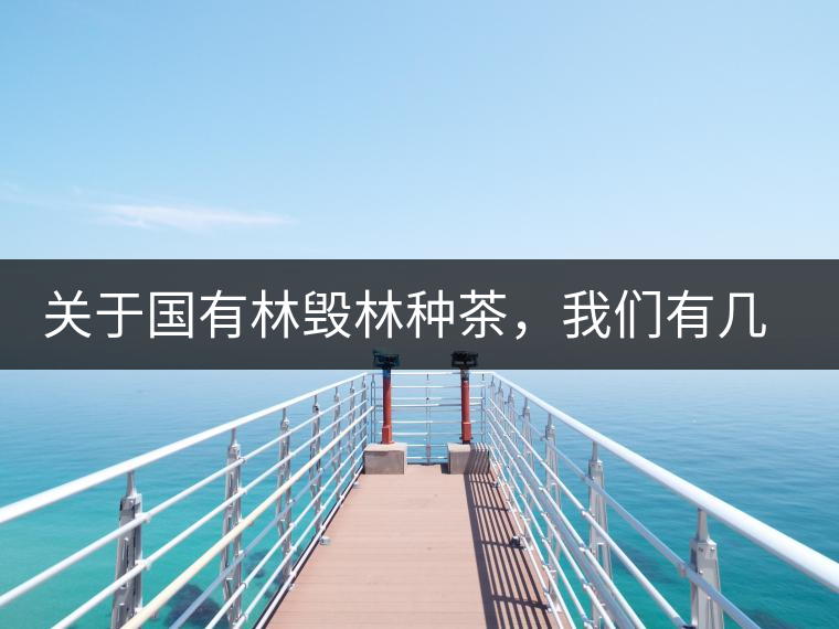 關于國有林毀林種茶，我們有幾點不得不說