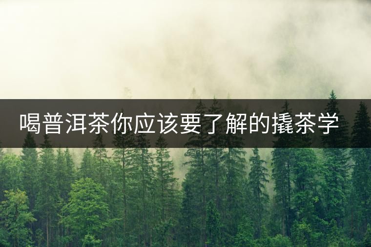 喝普洱茶你應(yīng)該要了解的撬茶學問