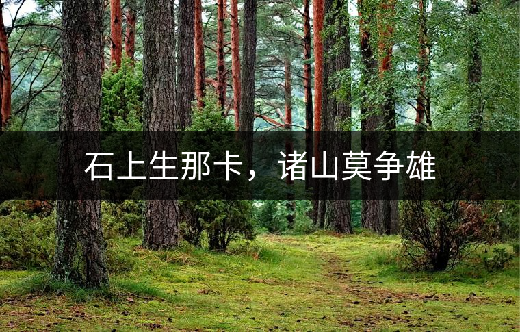 石上生那卡，諸山莫爭雄