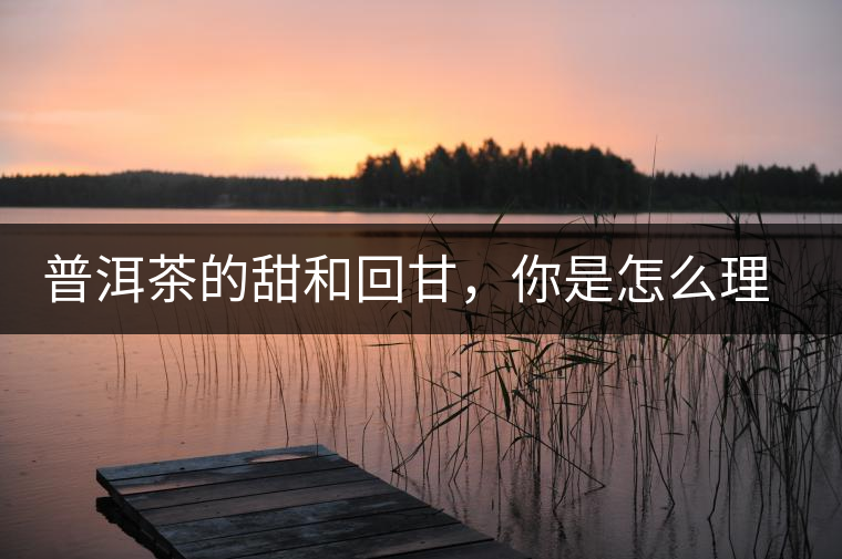 普洱茶的甜和回甘，你是怎么理解的？