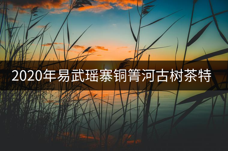 2020年易武瑤寨銅箐河古樹茶特點(diǎn)