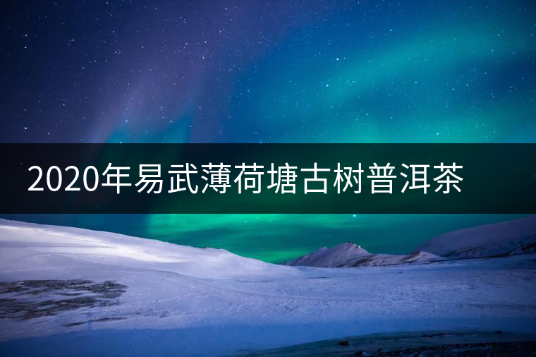 2020年易武薄荷塘古樹普洱茶特點，價格又上漲了嗎？
