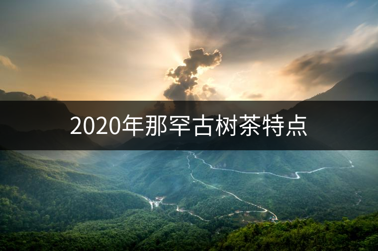 2020年那罕古樹(shù)茶特點(diǎn) 2020年那罕古樹(shù)茶特點(diǎn)