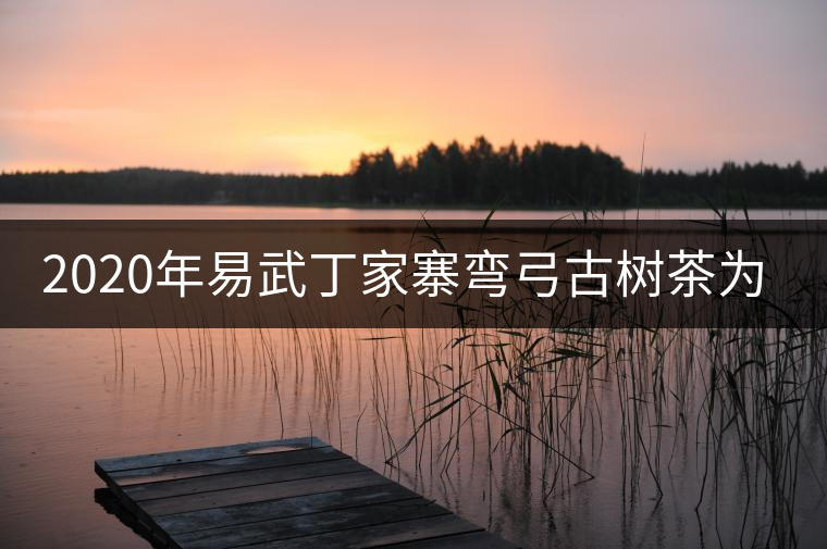 2020年易武丁家寨彎弓古樹茶為什么這么受追捧！