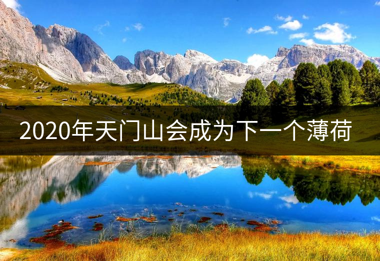 2020年天門山會成為下一個薄荷塘嗎？