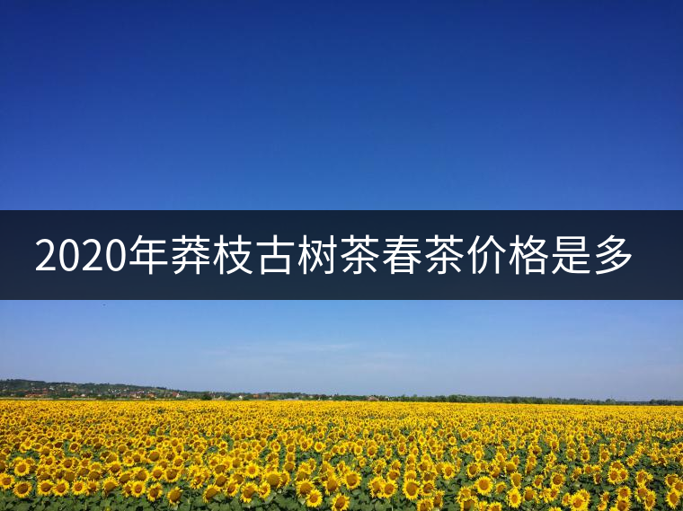 2020年莽枝古樹(shù)茶春茶價(jià)格是多少錢(qián)？