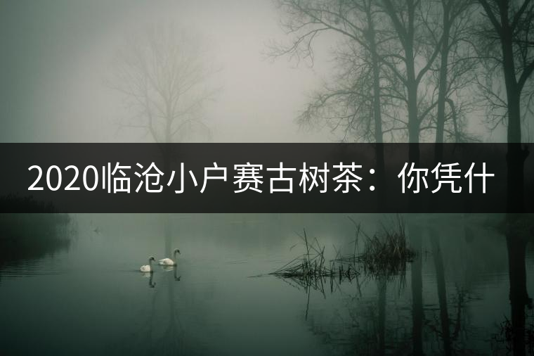 2020臨滄小戶賽古樹茶：你憑什么當冰島賣？