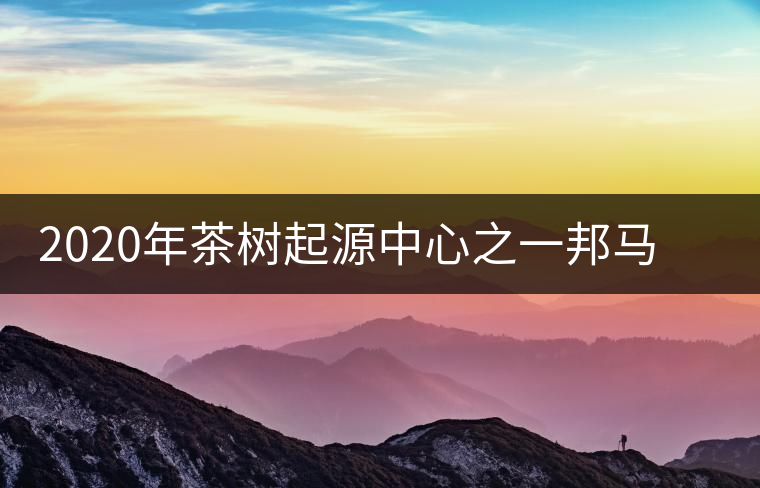 2020年茶樹起源中心之一邦馬大雪山上有哪些神秘的村寨？