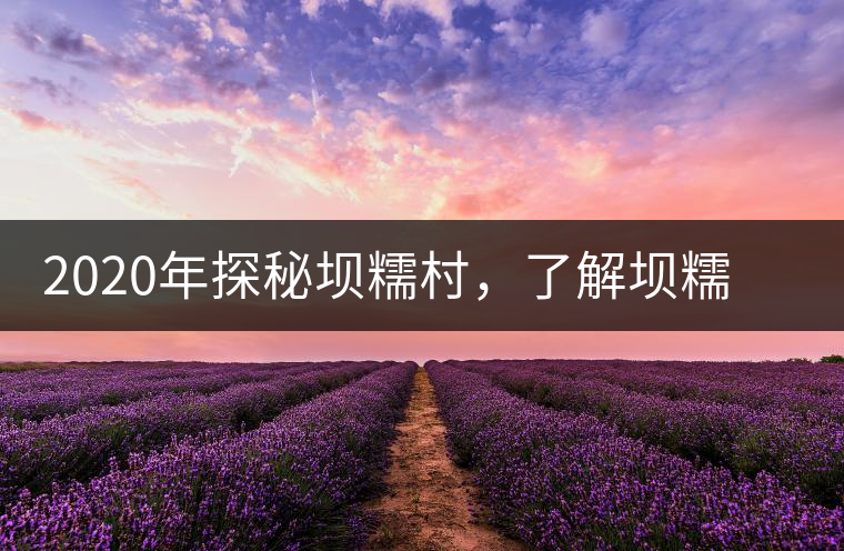 2020年探秘壩糯村，了解壩糯藤條茶的真相