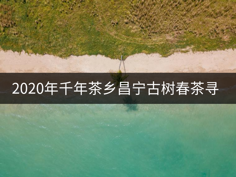 2020年千年茶鄉(xiāng)昌寧古樹春茶尋茶記