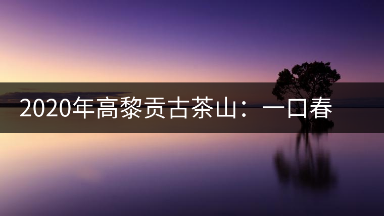 2020年高黎貢古茶山：一口春茶香，一口騰沖味