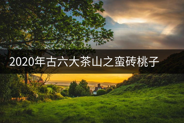 2020年古六大茶山之蠻磚桃子寨古樹茶，瓦龍古樹茶口感與特點(diǎn)