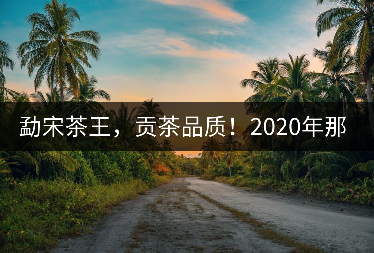 勐宋茶王，貢茶品質(zhì)！2020年那卡古樹青餅悠然而至！