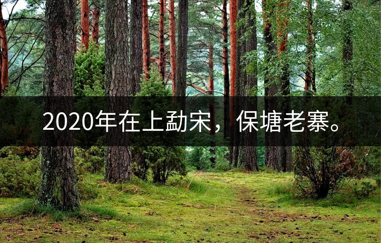2020年在上勐宋，保塘老寨。