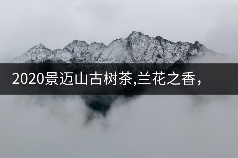 2020景邁山古樹茶,蘭花之香，自然之味