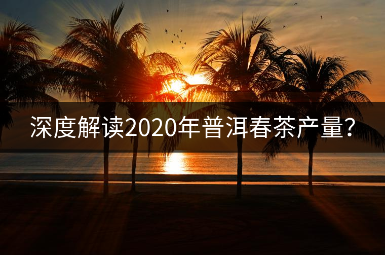 深度解讀2020年普洱春茶產(chǎn)量？