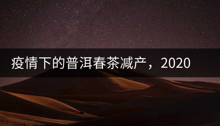 疫情下的普洱春茶減產(chǎn)，2020年價格“兩極分化”或成常態(tài)？