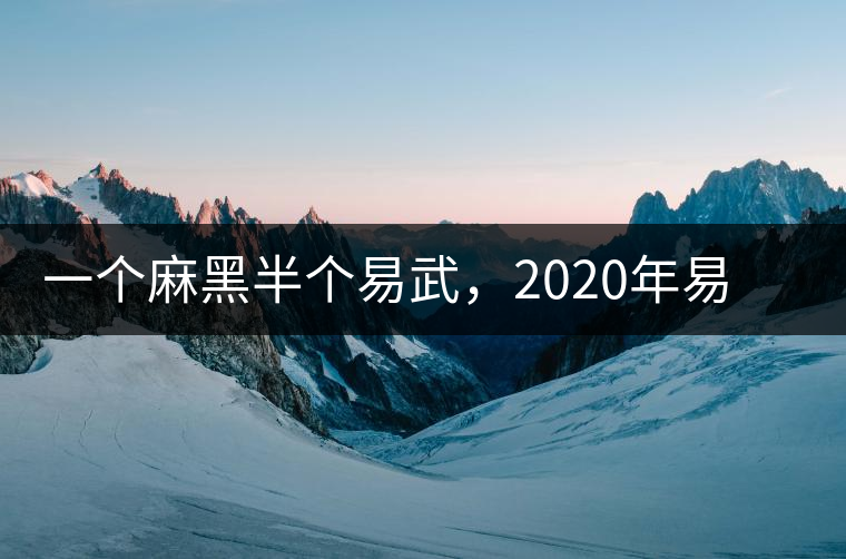 一個麻黑半個易武，2020年易武麻黑古樹春茶介紹