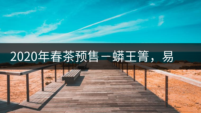 2020年春茶預(yù)售－蟒王箐，易武一個蟒蛇出沒的地方