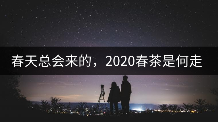 春天總會(huì)來(lái)的，2020春茶是何走勢(shì)？