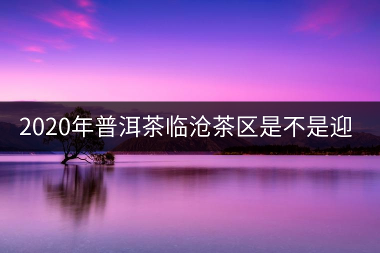 2020年普洱茶臨滄茶區(qū)是不是迎來(lái)最好機(jī)遇？