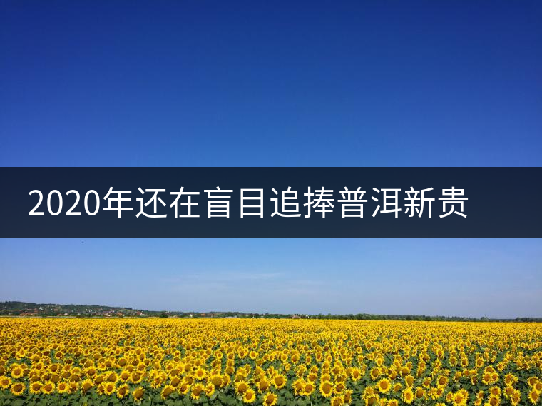 2020年還在盲目追捧普洱新貴“貓耳朵”？我們深入產(chǎn)區(qū)為你揭示最真實的“貓耳朵”！