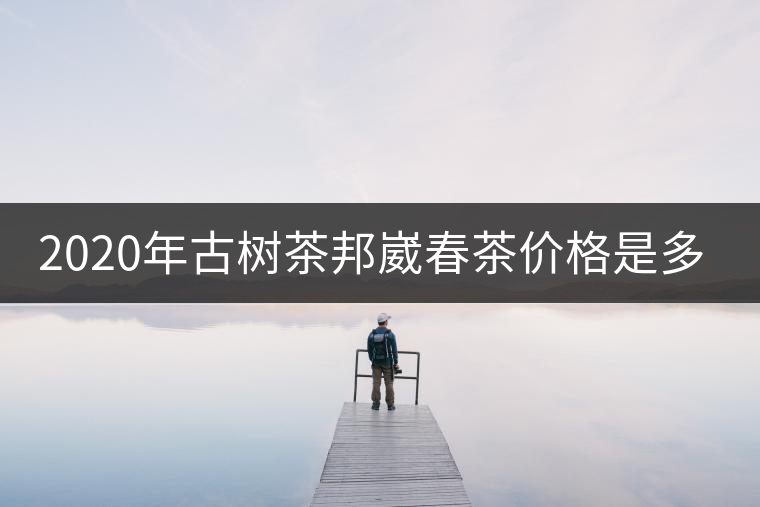 2020年古樹(shù)茶邦崴春茶價(jià)格是多少？