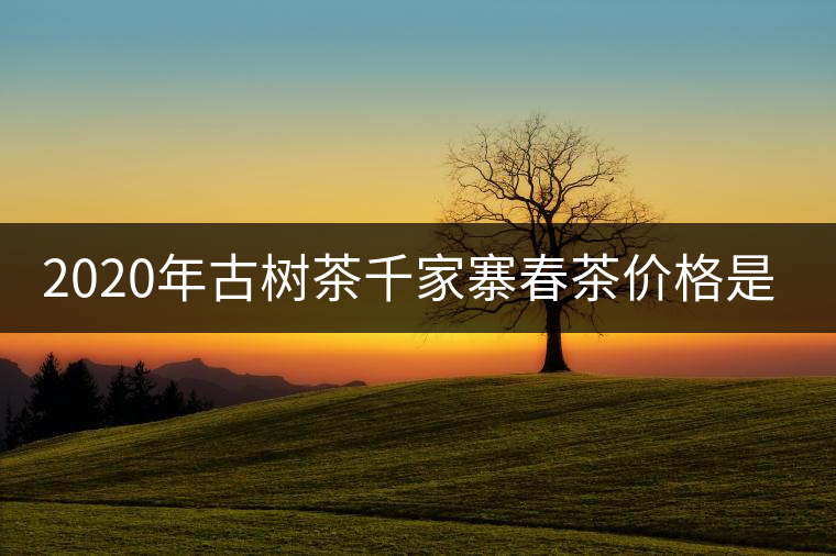 2020年古樹(shù)茶千家寨春茶價(jià)格是多少？