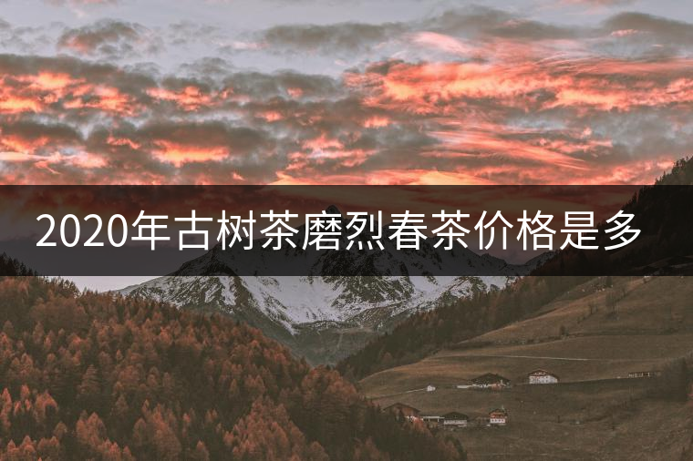 2020年古樹茶磨烈春茶價(jià)格是多少？