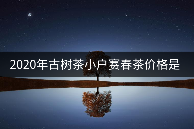 2020年古樹茶小戶賽春茶價格是多少？