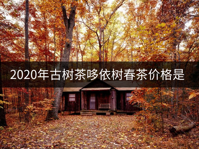 2020年古樹(shù)茶哆依樹(shù)春茶價(jià)格是多少？