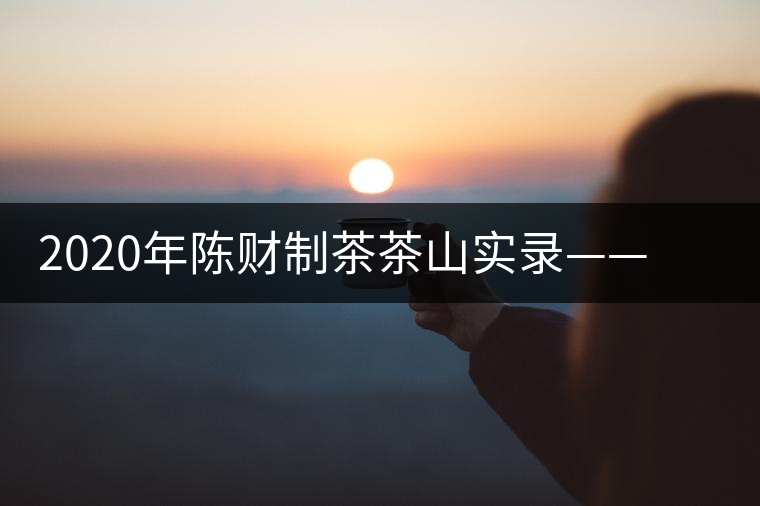 2020年陳財制茶茶山實(shí)錄——蟒蛇河畔的蟒王箐 2020年陳財制茶茶山實(shí)錄——蟒蛇河畔的蟒王箐