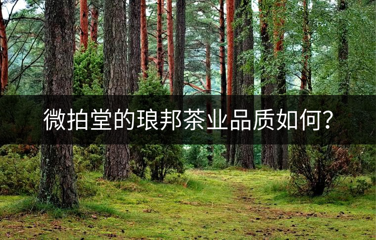 微拍堂的瑯邦茶業(yè)品質(zhì)如何？