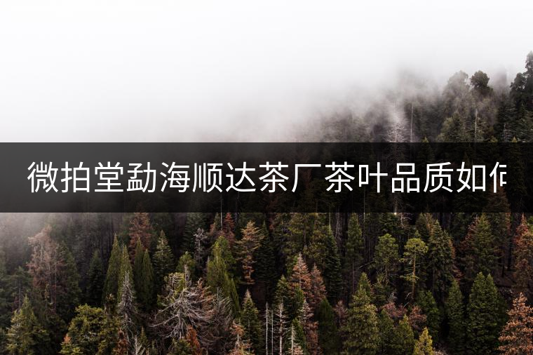 微拍堂勐海順達(dá)茶廠茶葉品質(zhì)如何？